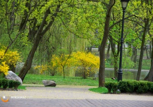 Wiosenny park miejski 2015 - galeria zdjęć