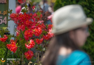 Święto Kwiatów 2015 - fotoreportaż
