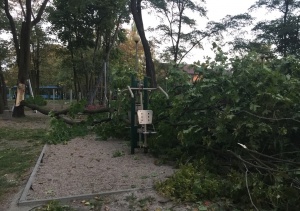Wiatr powalił drzewo na siłownię plenerową