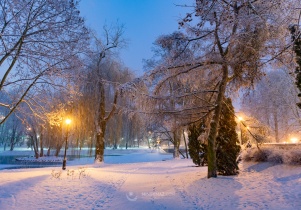 Zimowy park miejski - galeria zdjęć