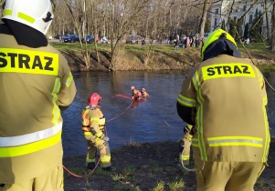 Samoch&oacute;d w stawie