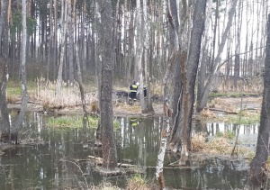 Głupota ludzka nie zna granic!