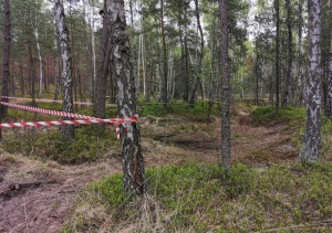 Niewybuchy z czasów wojny w lesie pod Mińskiem Mazowieckim