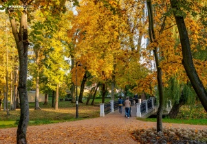 Jakie projekty do realizacji z budżetu obywatelskiego?