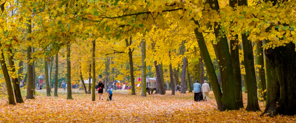Jesienny Park Miejski 2014 - fotoreportaż
