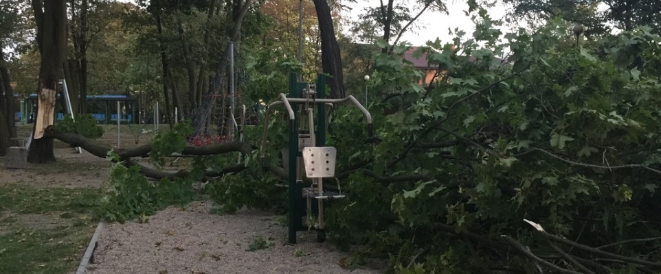 Wiatr powalił drzewo na siłownię plenerową