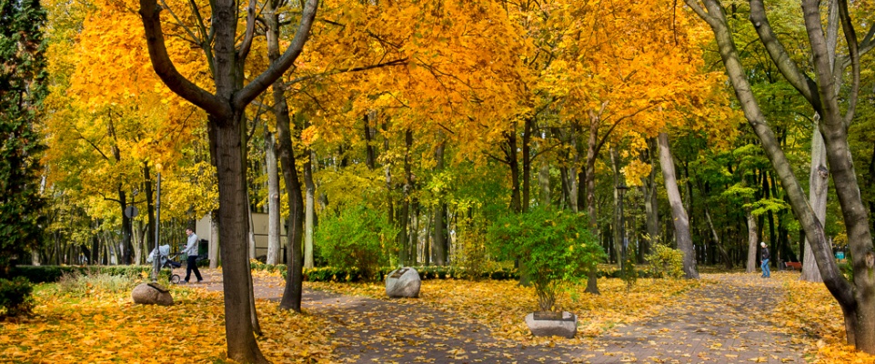 Jesienny Park Miejski - fotoreportaż