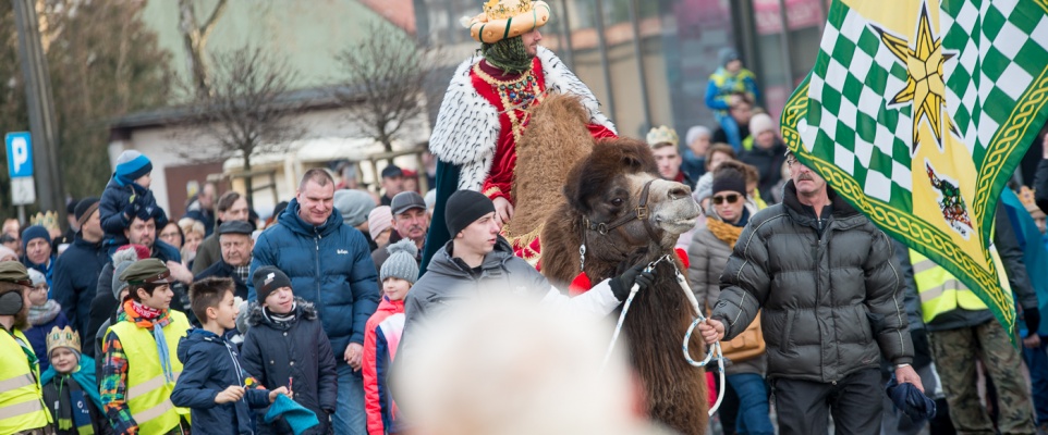 Wygrać wielbłąda, czekoladki i korony