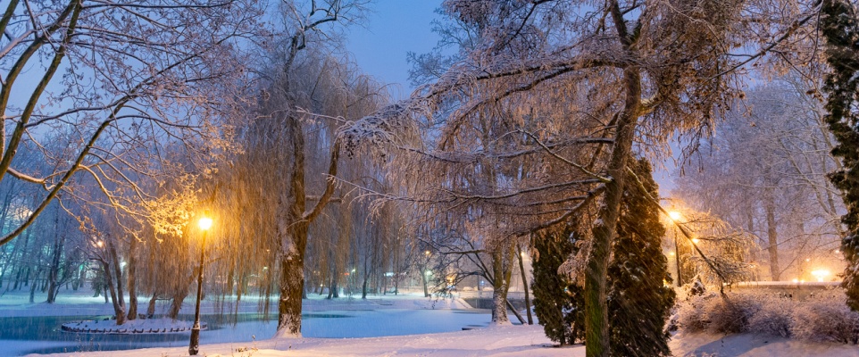 Zimowy park miejski - galeria zdjęć