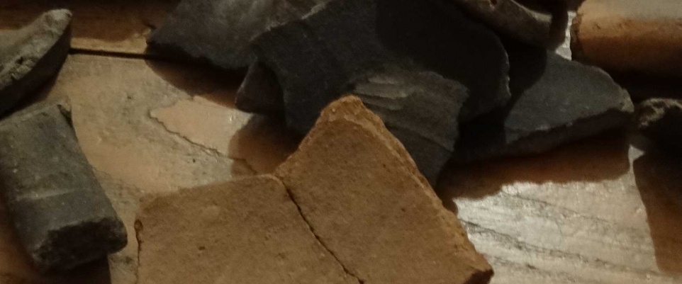 Znalezisko z XVI wieku w Mińsku Mazowieckim