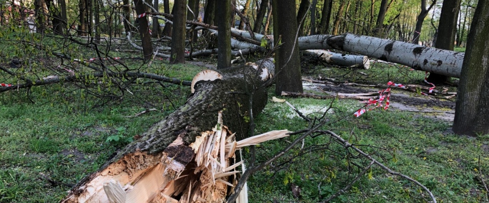 Park miejski zamknięty