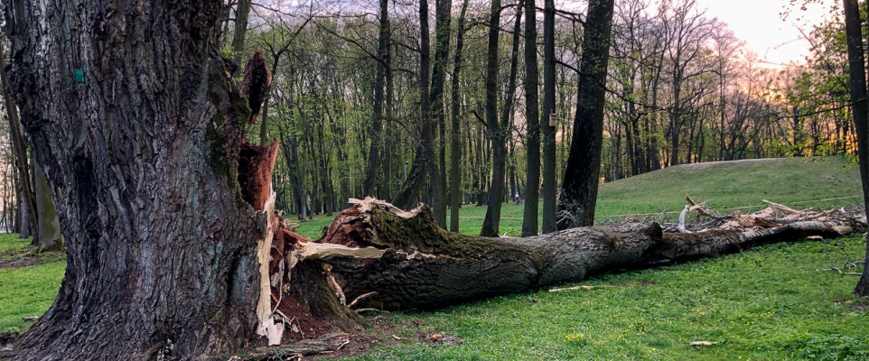 Wiatr powalił pomnik