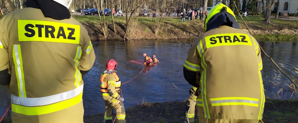 Samoch&oacute;d w stawie