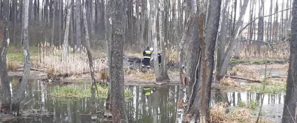 Głupota ludzka nie zna granic!