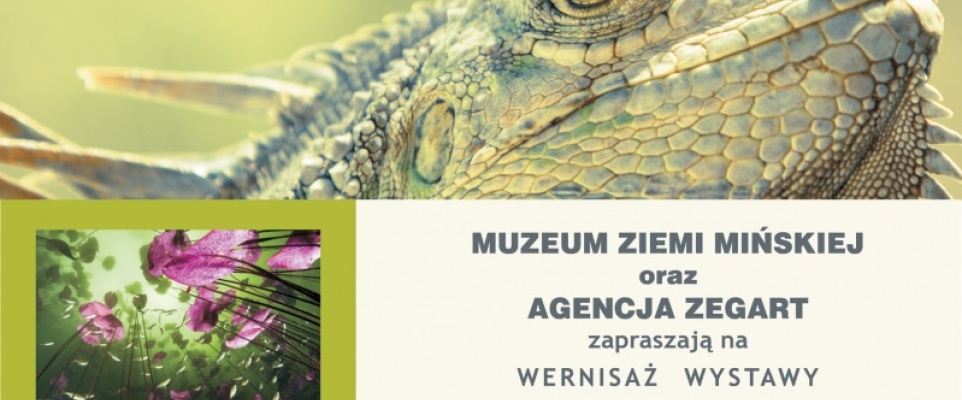 Wildlife Photographer of the Year w Muzeum Ziemi Mińskiej 